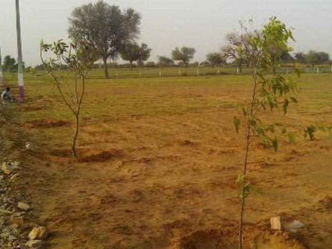 Fraud of Rs 3 crore in the name of allotment of land | भूखंड देण्याच्या नावाखाली केली तीन कोटींची फसवणूक