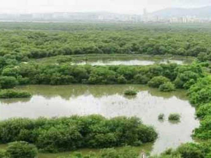 Reserve five wetlands in Uran, Navi Mumbai | नवी मुंबई, उरणमधील पाच पाणथळ जागा आरक्षित करा Reserve five wetlands in Uran, Navi Mumbai | नवी मुंबई, उरणमधील पाच पाणथळ जागा आरक्षित करा