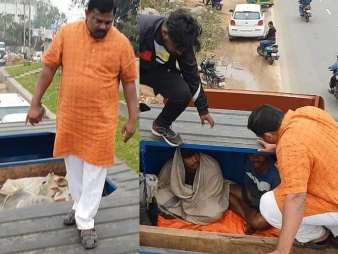 Video: MLA Rajasinan used to pursue container, busted cows trafficking in Hyderabad | Video : आमदार राजासिंगनं केला कंटेनरचा पाठलाग, हैदराबादेत गायींच्या तस्करीचा पर्दाफाश 