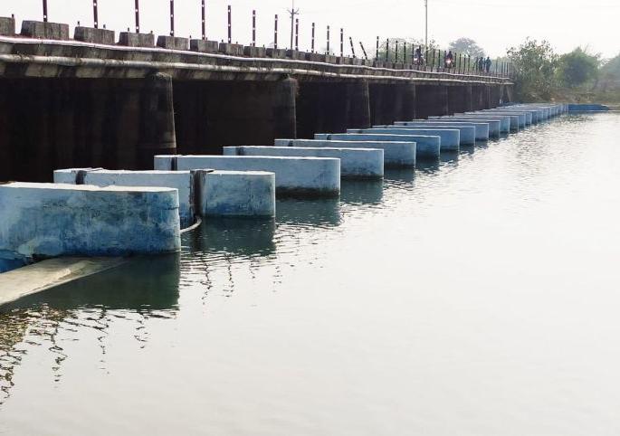 Sowing will be done twice in a field of eight hundred hectares due to pilot dam | पायलट बंधाऱ्यामुळे आठशे हेक्टर शेतात होणार दुबार पेरणी Sowing will be done twice in a field of eight hundred hectares due to pilot dam | पायलट बंधाऱ्यामुळे आठशे हेक्टर शेतात होणार दुबार पेरणी