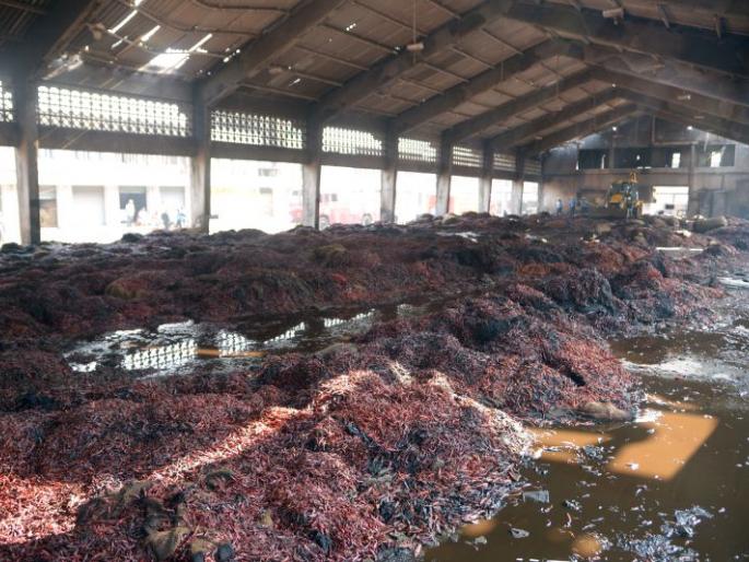 Kalamana Market Fire; The soldiers caught red pepper smoke; A wet cloth tied to the mouth | कळमना मार्केट आग; जवानांनी झेलला लाल मिरचीचा धूर; तोंडाला बांधला ओला कपडा Kalamana Market Fire; The soldiers caught red pepper smoke; A wet cloth tied to the mouth | कळमना मार्केट आग; जवानांनी झेलला लाल मिरचीचा धूर; तोंडाला बांधला ओला कपडा