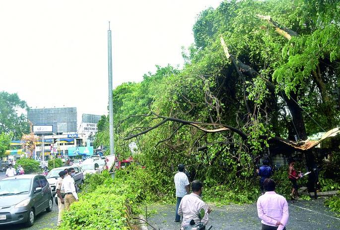Presence of rains in Vidarbha; Pre-monsoon rains hits | विदर्भात पावसाची हजेरी; मान्सूनपूर्व पावसाने उडाली त्रेधातिरपिट