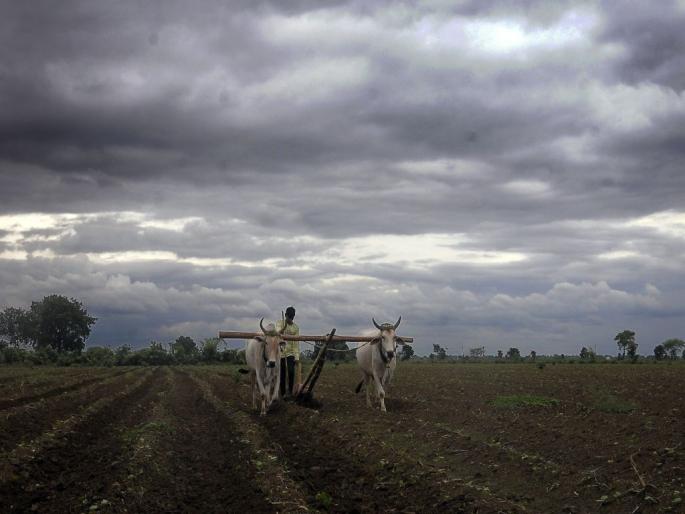 Cloudy weather but wait; 35 percent less rain in Nagpur; Vidarbha's backlog at 43 percent | ढगाळ वातावरण पण प्रतीक्षाच; नागपुरात ३५ टक्के कमी पाऊस; विदर्भाचा अनुशेष ४३ टक्क्यांवर Cloudy weather but wait; 35 percent less rain in Nagpur; Vidarbha's backlog at 43 percent | ढगाळ वातावरण पण प्रतीक्षाच; नागपुरात ३५ टक्के कमी पाऊस; विदर्भाचा अनुशेष ४३ टक्क्यांवर