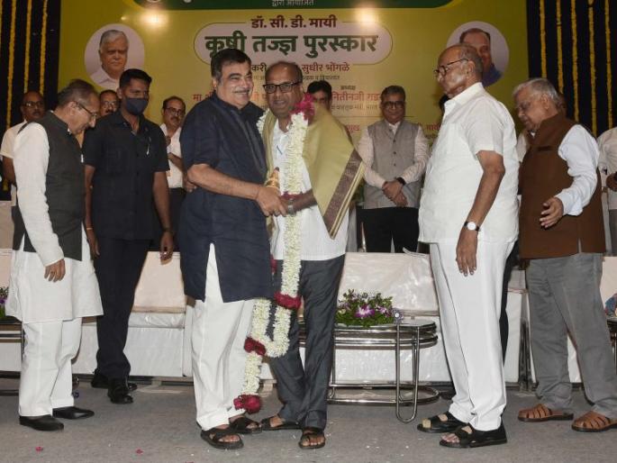 Indications of shift of Vidarbha agriculture from rice to sugarcane | विदर्भातील शेती भाताकडून उसाकडे नेण्याचे संकेत Indications of shift of Vidarbha agriculture from rice to sugarcane | विदर्भातील शेती भाताकडून उसाकडे नेण्याचे संकेत