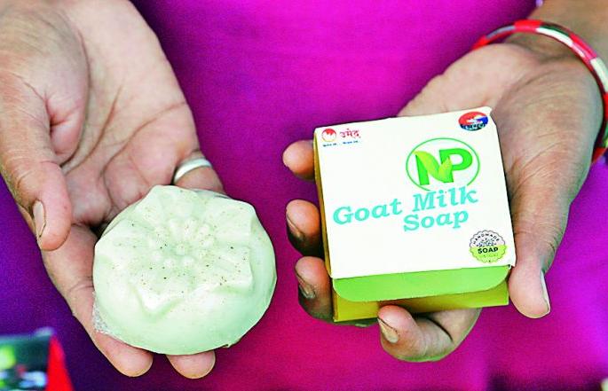 Goat's milk and charcoal soap and Mohfula's laddu. | बकरीच्या दुधाचा आणि कोळशाचा साबण अन् मोहफुलाचे लाडू.. Goat's milk and charcoal soap and Mohfula's laddu. | बकरीच्या दुधाचा आणि कोळशाचा साबण अन् मोहफुलाचे लाडू..