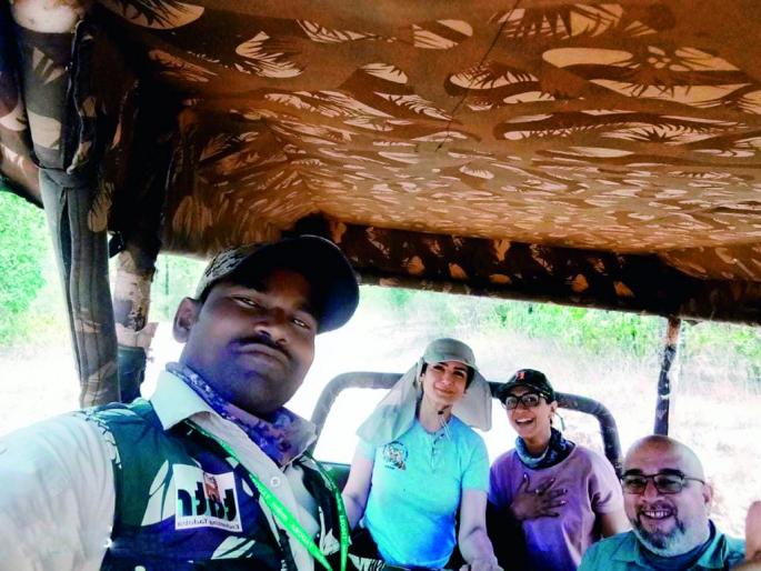 Raveena Tandon in love with Veera and her calves; Filed with girlfriends | रविना टंडन वीरा आणि तिच्या बछड्यांच्या प्रेमात; ताडोबात मैत्रिणींसह दाखल Raveena Tandon in love with Veera and her calves; Filed with girlfriends | रविना टंडन वीरा आणि तिच्या बछड्यांच्या प्रेमात; ताडोबात मैत्रिणींसह दाखल