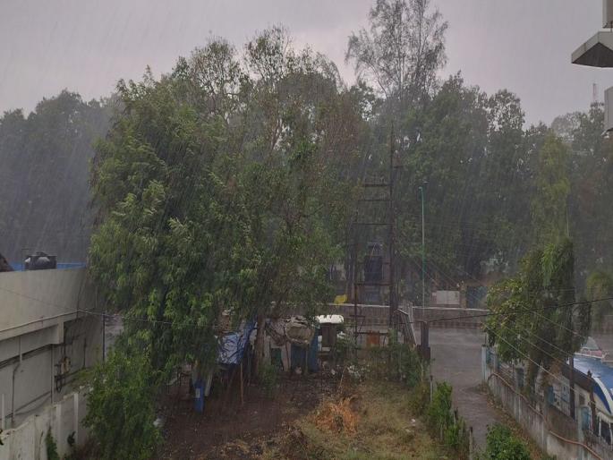 Anandsari in Vidarbha; Where strong, where light rain | विदर्भात आनंदसरी; कुठे दमदार, तर कुठे हलका पाऊस