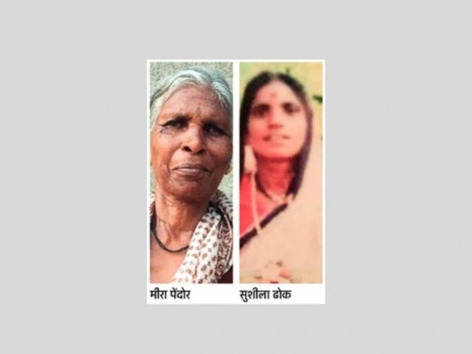 Look, grandkids, Grandma's maximum, 98 percent marks in the Adult Illiteracy Test at the age of 6! | बघा नातवांनो, आजीची कमाल, साठीच्या वयात प्रौढ असाक्षरांसाठीच्या परीक्षेत ९८ टक्के गुण! Look, grandkids, Grandma's maximum, 98 percent marks in the Adult Illiteracy Test at the age of 6! | बघा नातवांनो, आजीची कमाल, साठीच्या वयात प्रौढ असाक्षरांसाठीच्या परीक्षेत ९८ टक्के गुण!