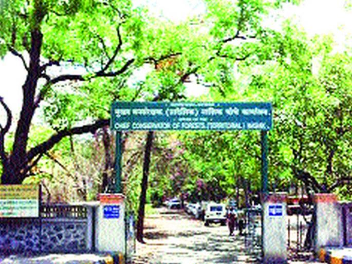 Waiting for 'RFO' to Nashik forest range | नाशिक वनपरिक्षेत्राला ‘आरएफओ’ची प्रतीक्षा Waiting for 'RFO' to Nashik forest range | नाशिक वनपरिक्षेत्राला ‘आरएफओ’ची प्रतीक्षा