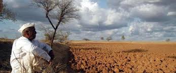 Are we ungrateful towards farmers? | शेतकऱ्यांप्रती आपण कृतघ्न झालो आहोत का? Are we ungrateful towards farmers? | शेतकऱ्यांप्रती आपण कृतघ्न झालो आहोत का?