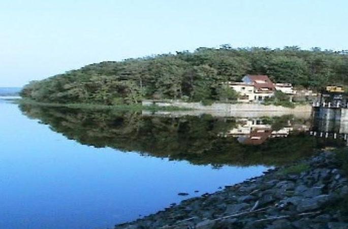 Chain reaction is taking place in the lakes of Nagpur district | नागपूर जिल्ह्यात तलावांतील बदलामुळे होत आहे चेन रिऍक्शन