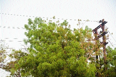 Mahanvatar has received pre-monsoon work in Aurangabad | औरंगाबादेत महावितरणकडून मान्सूनपूर्व कामांना मिळाली गती Mahanvatar has received pre-monsoon work in Aurangabad | औरंगाबादेत महावितरणकडून मान्सूनपूर्व कामांना मिळाली गती