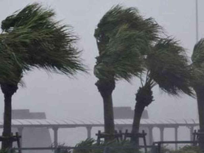 Okhi affected farmers and fishermen gets help ; Chandrakant Patil | ओखी चक्रीवादळग्रस्त शेतकरी व मच्छीमारांना मदत; चंद्रकांत पाटील यांची विधान परिषदेत घोषणा Okhi affected farmers and fishermen gets help ; Chandrakant Patil | ओखी चक्रीवादळग्रस्त शेतकरी व मच्छीमारांना मदत; चंद्रकांत पाटील यांची विधान परिषदेत घोषणा