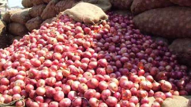 200-rupees grant for onion-producing farmers | कांदा उत्पादक शेतकऱ्यांना २०० रुपये अनुदान 200-rupees grant for onion-producing farmers | कांदा उत्पादक शेतकऱ्यांना २०० रुपये अनुदान