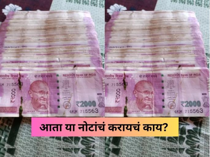 diwali cleanup uncovers treasure 2 lakh worth of 2000 rupee notes found old dth box | दिवाळीच्या साफसफाईत आईला सापडला 'खजिना'; २ हजारांच्या तब्बल २ लाखांच्या नोटा, पण... diwali cleanup uncovers treasure 2 lakh worth of 2000 rupee notes found old dth box | दिवाळीच्या साफसफाईत आईला सापडला 'खजिना'; २ हजारांच्या तब्बल २ लाखांच्या नोटा, पण...