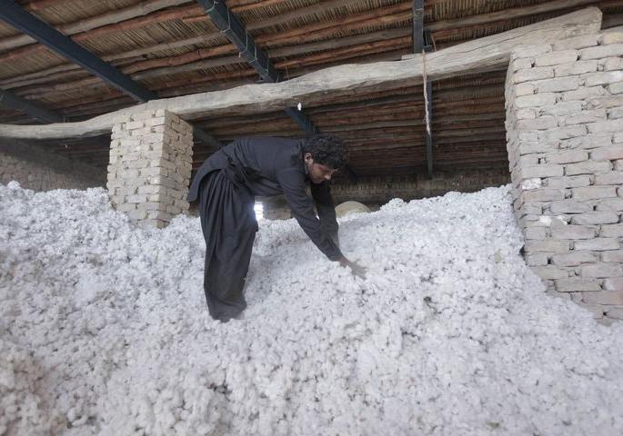 Cotton procurement in Nagpur district will be completed in twenty days | नागपूर जिल्ह्यातील कापूस खरेदी वीस दिवसात पूर्ण होणार Cotton procurement in Nagpur district will be completed in twenty days | नागपूर जिल्ह्यातील कापूस खरेदी वीस दिवसात पूर्ण होणार