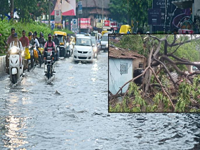 Heavy rains caused havoc among Kolhapur residents, trees and billboards fell | वळवाच्या पावसाने कोल्हापूरकरांची उडाली दाणादाण, झाडांसह फलक कोसळले Heavy rains caused havoc among Kolhapur residents, trees and billboards fell | वळवाच्या पावसाने कोल्हापूरकरांची उडाली दाणादाण, झाडांसह फलक कोसळले