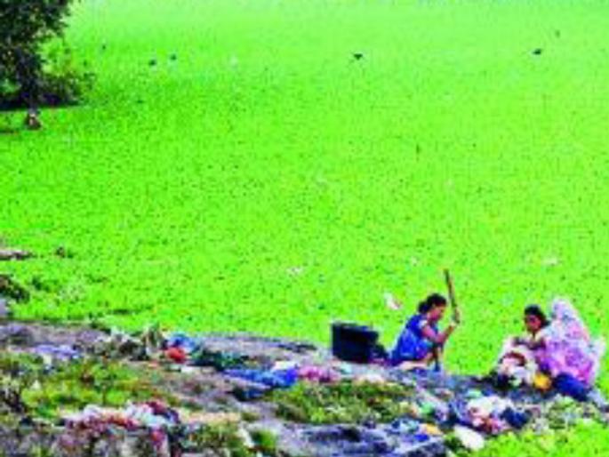 When was the river reform project ever? Pavana river cleanliness should be welcomed by the administration: Environmentalist | नदीसुधार प्रकल्पास मुहूर्त कधी?; पवना नदी स्वच्छतेला प्रशासनाकडून दाद हवी : पर्यावरणप्रेमी When was the river reform project ever? Pavana river cleanliness should be welcomed by the administration: Environmentalist | नदीसुधार प्रकल्पास मुहूर्त कधी?; पवना नदी स्वच्छतेला प्रशासनाकडून दाद हवी : पर्यावरणप्रेमी