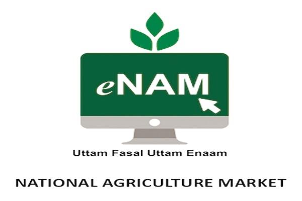 Proposal to the Center for 4 Market Committees for linking the national agricultural market | राष्ट्रीय कृषी बाजाराला जोडण्यासाठी ६२ बाजार समित्यांचा केंद्राकडे प्रस्ताव Proposal to the Center for 4 Market Committees for linking the national agricultural market | राष्ट्रीय कृषी बाजाराला जोडण्यासाठी ६२ बाजार समित्यांचा केंद्राकडे प्रस्ताव