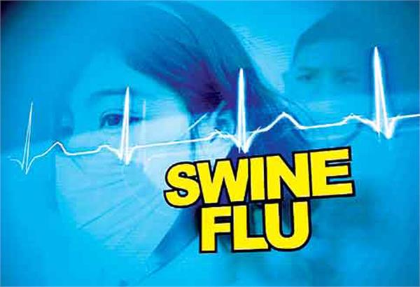 Swine flu risk after dengue | डेंग्यूनंतर स्वाईन फ्लूचा धोका Swine flu risk after dengue | डेंग्यूनंतर स्वाईन फ्लूचा धोका