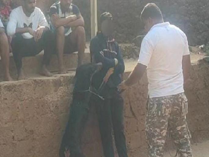 Burglary detected in just 36 hours with the help of dog Virat | ‘विराट’ श्वानाच्या मदतीने अवघ्या ३६ तासात घरफोडी उघड Burglary detected in just 36 hours with the help of dog Virat | ‘विराट’ श्वानाच्या मदतीने अवघ्या ३६ तासात घरफोडी उघड