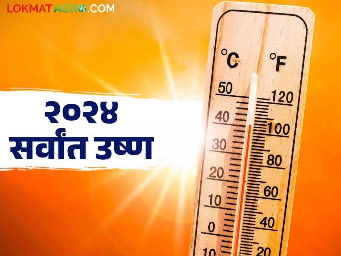 Hottest Year in History : 2024 became the hottest year in India after 1901 | Hottest Year in History : १९०१ नंतर २०२४ ठरले भारतातील सर्वांत उष्ण वर्ष Hottest Year in History : 2024 became the hottest year in India after 1901 | Hottest Year in History : १९०१ नंतर २०२४ ठरले भारतातील सर्वांत उष्ण वर्ष