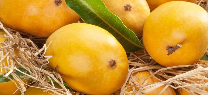 Happus costly, Baiganfalli is in control ! | हापूसची तहान बैंगनफल्लीवर !