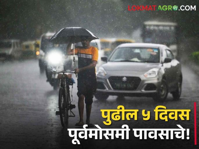 Maharashtra weather update: Yellow alert of heavy rains for 15 districts including Pune in the state, Met department forecast | Maharashtra weather Update: राज्यात पुण्यासह १५ जिल्ह्यांना मुसळधार पावसाचा यलो अलर्ट Maharashtra weather update: Yellow alert of heavy rains for 15 districts including Pune in the state, Met department forecast | Maharashtra weather Update: राज्यात पुण्यासह १५ जिल्ह्यांना मुसळधार पावसाचा यलो अलर्ट