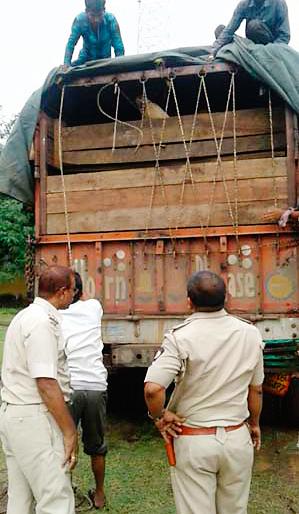 A truck carrying 54 animals caught | ५४ जनावरे घेऊन जाणारा ट्रक पकडला A truck carrying 54 animals caught | ५४ जनावरे घेऊन जाणारा ट्रक पकडला