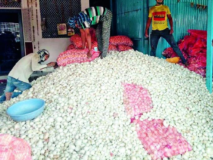 The best price for planting 20 years | लागवडीच्या कांद्याला२० वर्षातील सर्वाधिक भाव