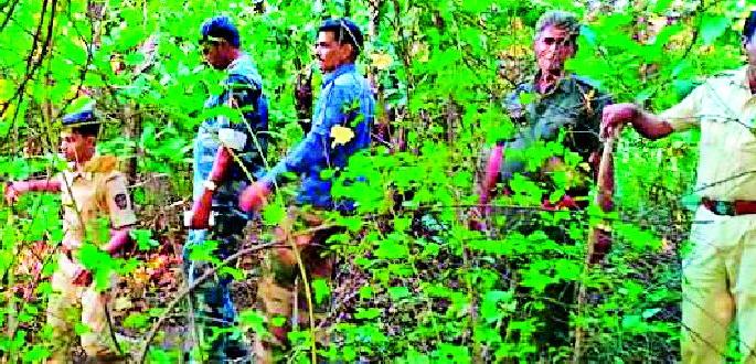 8 villages panic; The search for cannibal tigers started | आठ गावात दहशत; नरभक्षक वाघाचा शोध सुरू 8 villages panic; The search for cannibal tigers started | आठ गावात दहशत; नरभक्षक वाघाचा शोध सुरू