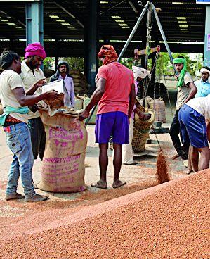 Sin is in the measure of purchase of tur | तूर खरेदीच्या मापात पाप