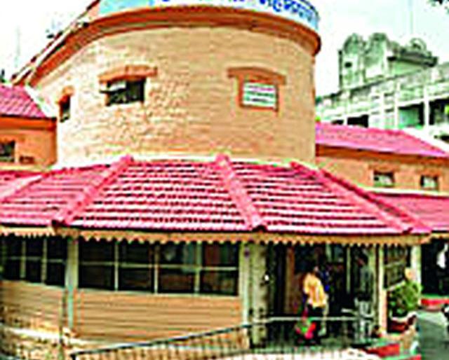 Peas in the general body, dog and mouse mug | आमसभेत वराह, श्वान अन् उंदरांचा बोलबाला Peas in the general body, dog and mouse mug | आमसभेत वराह, श्वान अन् उंदरांचा बोलबाला