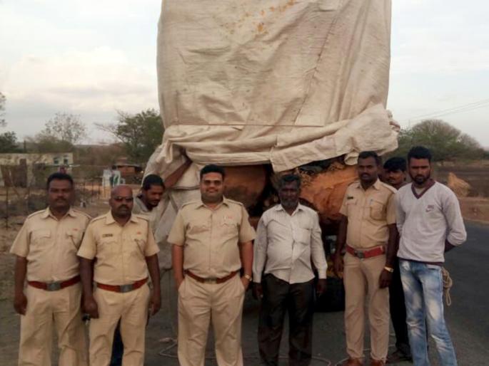 Wooden smuggling truck caught | लाकडाची अवैध वाहतूक करणारा ट्रक पकडला Wooden smuggling truck caught | लाकडाची अवैध वाहतूक करणारा ट्रक पकडला