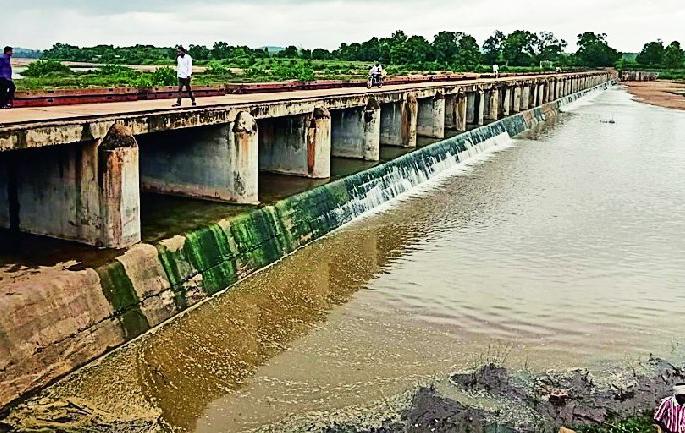 Import of peanuts from the Sondiatola Dam | सोंड्याटोला धरणावरून मोहफुलांची आयात Import of peanuts from the Sondiatola Dam | सोंड्याटोला धरणावरून मोहफुलांची आयात