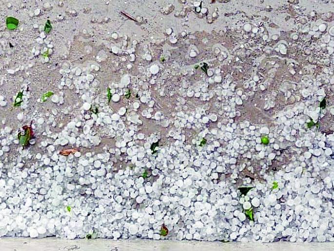 Blast again | गारपिटीचा पुन्हा तडाखा