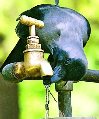 9 2 villages will get water shortage | ९२ गावांना बसणार पाणीटंचाईची झळ 9 2 villages will get water shortage | ९२ गावांना बसणार पाणीटंचाईची झळ