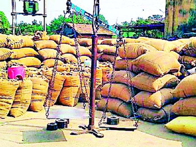 Purchase of 24,000 quintals of paddy from nine societies | नऊ सोसायटयांकडून २४ हजार क्विंटल धान खरेदी Purchase of 24,000 quintals of paddy from nine societies | नऊ सोसायटयांकडून २४ हजार क्विंटल धान खरेदी