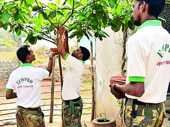Nature can only survive if the sparrows live | चिमण्या जगल्या तरच निसर्ग टिकेल Nature can only survive if the sparrows live | चिमण्या जगल्या तरच निसर्ग टिकेल