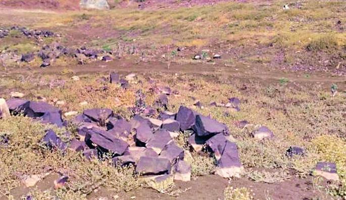 Taking Tk 20 lakhs 39 thousand rupees to dry the pond | २० लाख ३९ हजार रूपये खर्चूनही तलाव कोरडा Taking Tk 20 lakhs 39 thousand rupees to dry the pond | २० लाख ३९ हजार रूपये खर्चूनही तलाव कोरडा