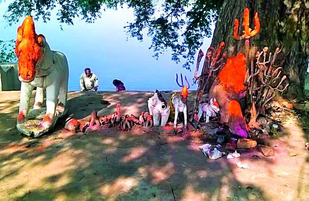 Adivasis will take Tadoba Darshan of God | आदिवासी घेणार ताडोबा देवाचे दर्शन