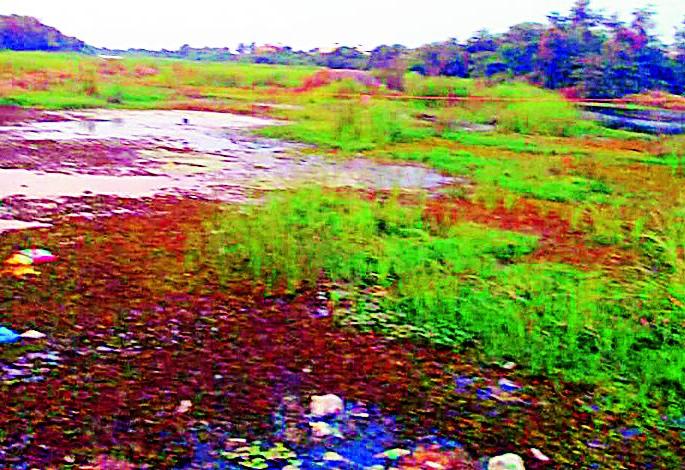 Now people's movement to save Iraya | इरईला वाचविण्यासाठी आता जनआंदोलन Now people's movement to save Iraya | इरईला वाचविण्यासाठी आता जनआंदोलन