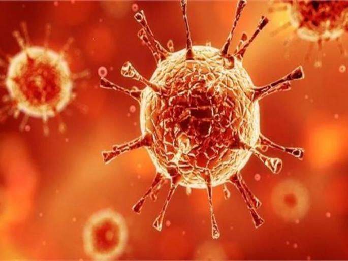 Addition of 3 corona patients in Muktainagar | मुक्ताईनगरात ३ कोरोना रुग्णांची भर Addition of 3 corona patients in Muktainagar | मुक्ताईनगरात ३ कोरोना रुग्णांची भर