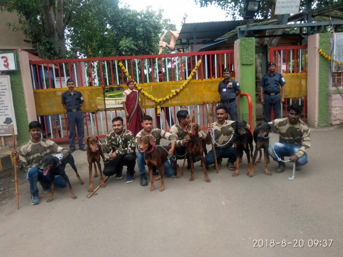 Posted in Squared squad at Ekolhar power station | एकलहरे वीज केंद्रात श्वान पथक तैनात Posted in Squared squad at Ekolhar power station | एकलहरे वीज केंद्रात श्वान पथक तैनात