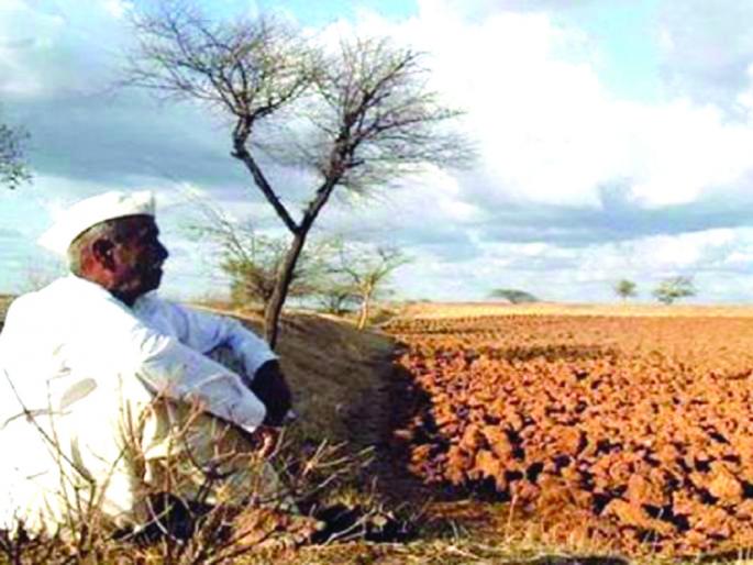 Thousands of kilos of seed returned to seed companies | मागणी नसल्यामुळे साडेबारा हजार किलो बियाणे कंपन्यांना परत Thousands of kilos of seed returned to seed companies | मागणी नसल्यामुळे साडेबारा हजार किलो बियाणे कंपन्यांना परत