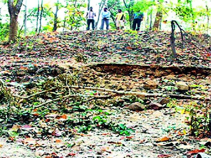 Chenna project stuck in forest law | वन कायद्यात रखडला चेन्ना प्रकल्प Chenna project stuck in forest law | वन कायद्यात रखडला चेन्ना प्रकल्प