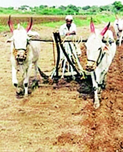 45% of the farmer is a small landholder | ४५ टक्के शेतकरी अत्यल्प भूधारक 45% of the farmer is a small landholder | ४५ टक्के शेतकरी अत्यल्प भूधारक