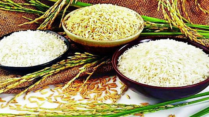 Marda Sharada Rice Mill along with Paddy Bhadai contract cancellation | मॉ शारदा राईस मिलसोबतचा धान भरडाईचा करारनामा रद्द Marda Sharada Rice Mill along with Paddy Bhadai contract cancellation | मॉ शारदा राईस मिलसोबतचा धान भरडाईचा करारनामा रद्द