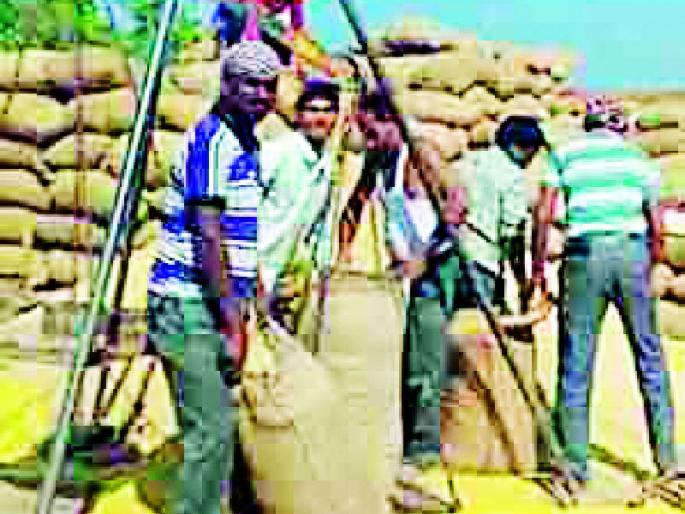 When will the Paddy Shopping Center start? | धान खरेदी केंद्र केव्हा सुरू होणार? When will the Paddy Shopping Center start? | धान खरेदी केंद्र केव्हा सुरू होणार?