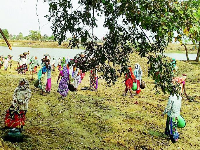 The women's Sarpanch's campaign for the development of the village continues | गाव विकासासाठी महिला सरपंचाची धडपड सुरूच The women's Sarpanch's campaign for the development of the village continues | गाव विकासासाठी महिला सरपंचाची धडपड सुरूच